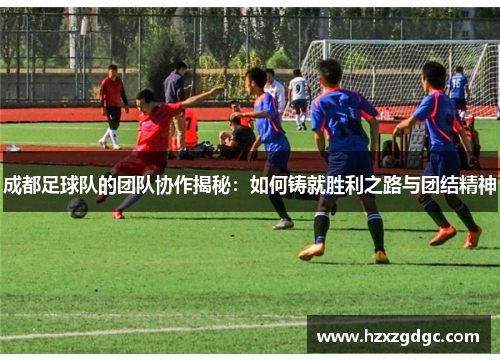 成都足球队的团队协作揭秘：如何铸就胜利之路与团结精神