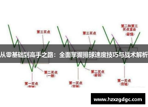 从零基础到高手之路：全面掌握排球速度技巧与战术解析